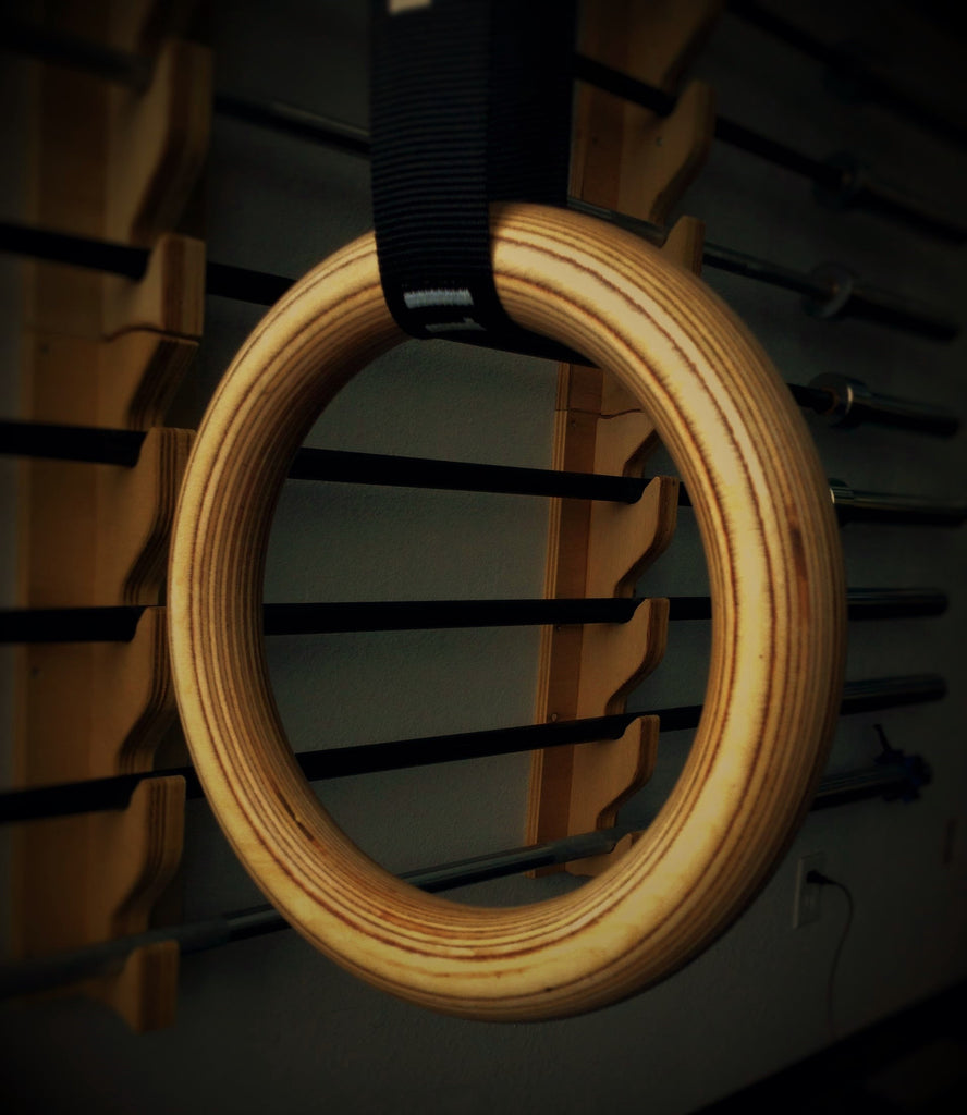 Gym Rings,With Straps PR Lifting